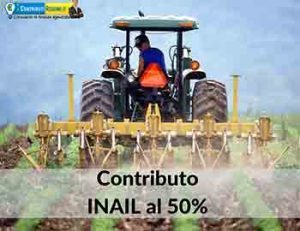Fondo Perduto 50%